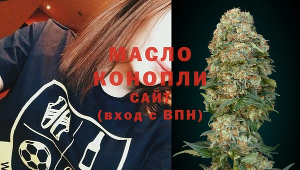 гашик Гусь-Хрустальный