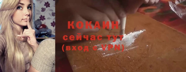 гашик Гусь-Хрустальный
