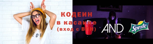 гашик Гусь-Хрустальный