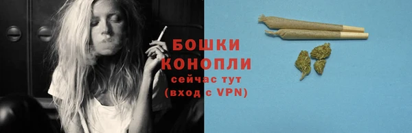 мдпв Горняк