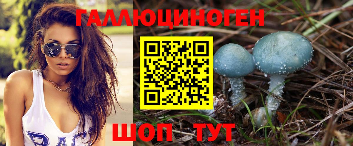 Галлюциногенные грибы прущие грибы Можайск