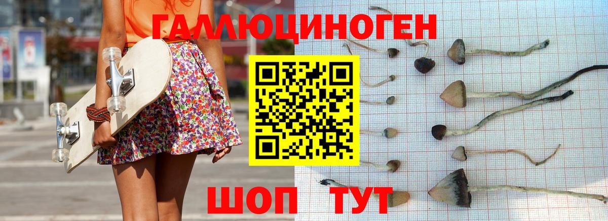 Псилоцибиновые грибы Cubensis  Можайск 